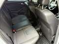 Ford Focus 1,6TDC Titanium-Leder-ACC-Navi-Abtempo-Pdc Blanco - thumbnail 17