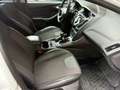 Ford Focus 1,6TDC Titanium-Leder-ACC-Navi-Abtempo-Pdc Blanco - thumbnail 13