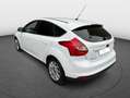 Ford Focus 1,6TDC Titanium-Leder-ACC-Navi-Abtempo-Pdc Blanco - thumbnail 7