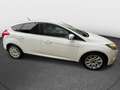 Ford Focus 1,6TDC Titanium-Leder-ACC-Navi-Abtempo-Pdc Blanco - thumbnail 4