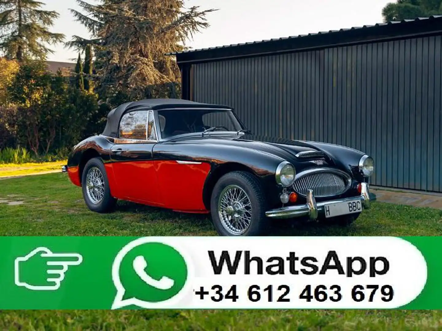 Austin-Healey 3000 MK3 (BJ8) Zwart - 2