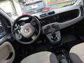 Fiat Panda BENZINA   CAMBIO AUTOMATICO  GARANZIA UN ANNO - thumbnail 11