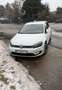 Volkswagen e-Golf e-Golf 35,8kWh (mit Batterie) Weiß - thumbnail 5
