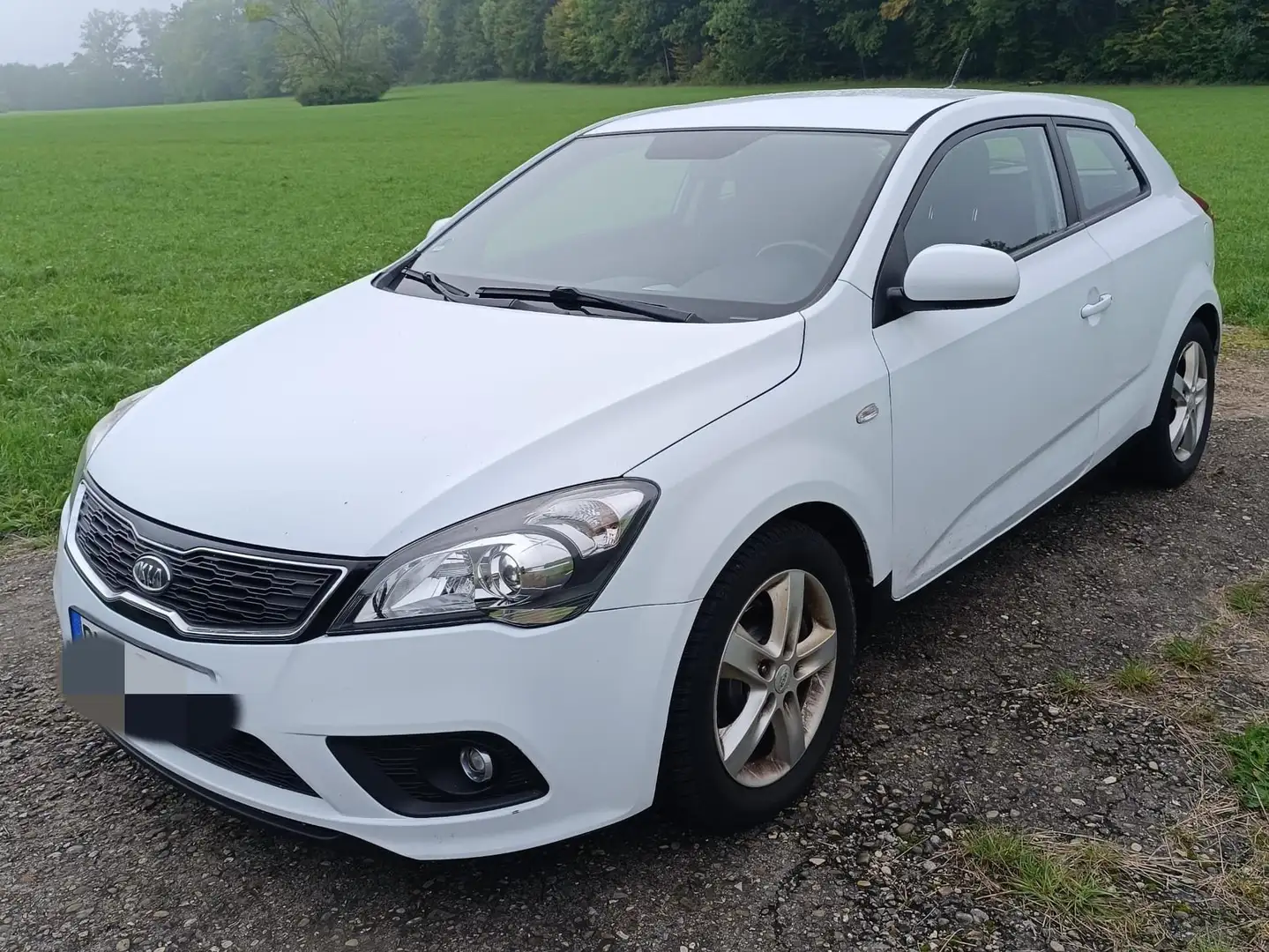 Kia ProCeed / pro_cee'd pro Ceed 1.6 CRDi Spirit Weiß - 1