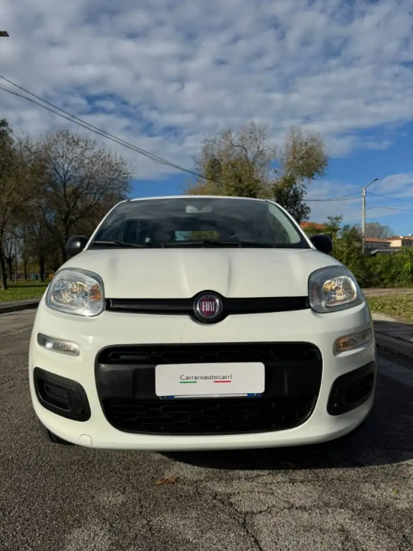 Fiat Panda 1.2 Easy Bianco - 2
