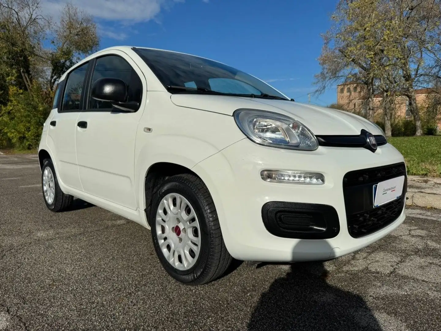 Fiat Panda 1.2 Easy Bianco - 1