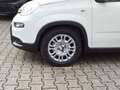Fiat Panda #CityPaket #Tempomat Weiß - thumbnail 14