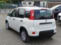 Fiat Panda #CityPaket #Tempomat Weiß - thumbnail 6