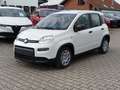 Fiat Panda #CityPaket #Tempomat Weiß - thumbnail 1