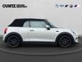 MINI Cooper Cabrio Cooper Cabrio Chili LED Parkassist. Komfortzg. Weiß - thumbnail 5