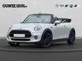 MINI Cooper Cabrio Cooper Cabrio Chili LED Parkassist. Komfortzg. Weiß - thumbnail 2