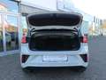 Volkswagen T-Roc R-Line Edition Karmann PLUS 1.5 Grau - thumbnail 10