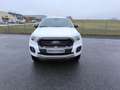 Ford Ranger Wildtrak Doppelkabine 4x4 Anhängevorrichtung Weiß - thumbnail 2
