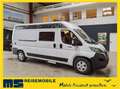 Chausson V594 FIRST LINE / -2024- /140PS/ CONNECT - PAKET Blanc - thumbnail 1