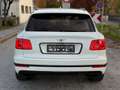 Bentley Bentayga Bentayga W12 Weiß - thumbnail 14