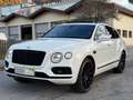 Bentley Bentayga Bentayga W12 Weiß - thumbnail 5