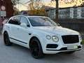 Bentley Bentayga Bentayga W12 Weiß - thumbnail 3