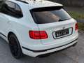 Bentley Bentayga Bentayga W12 Weiß - thumbnail 16