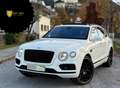 Bentley Bentayga Bentayga W12 Weiß - thumbnail 1