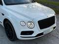 Bentley Bentayga Bentayga W12 Weiß - thumbnail 4