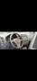 Volkswagen Golf Plus Highline 2,0 TDI DPF DSG - thumbnail 10