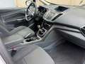 Ford C-Max 1..0 Ecobost Titanium 125 5P - thumbnail 7