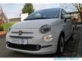 Fiat 500 1.0 MILD-HYBRID DOLCEVITA EU6D Panorama Navi Apple Weiß - thumbnail 18