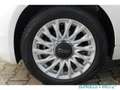 Fiat 500 1.0 MILD-HYBRID DOLCEVITA EU6D Panorama Navi Apple Weiß - thumbnail 20