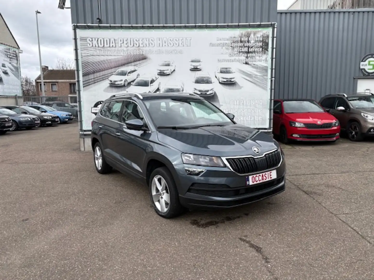 Skoda Karoq Karoq 1.5 TSI DSG Grau - 1
