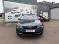 Skoda Karoq Karoq 1.5 TSI DSG Grau - thumbnail 4