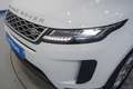 Land Rover Range Rover Evoque 2.0D MHEV S AWD Aut. 150 Wit - thumbnail 9