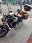 Indian Scout 1200 ABS Nero - thumbnail 10