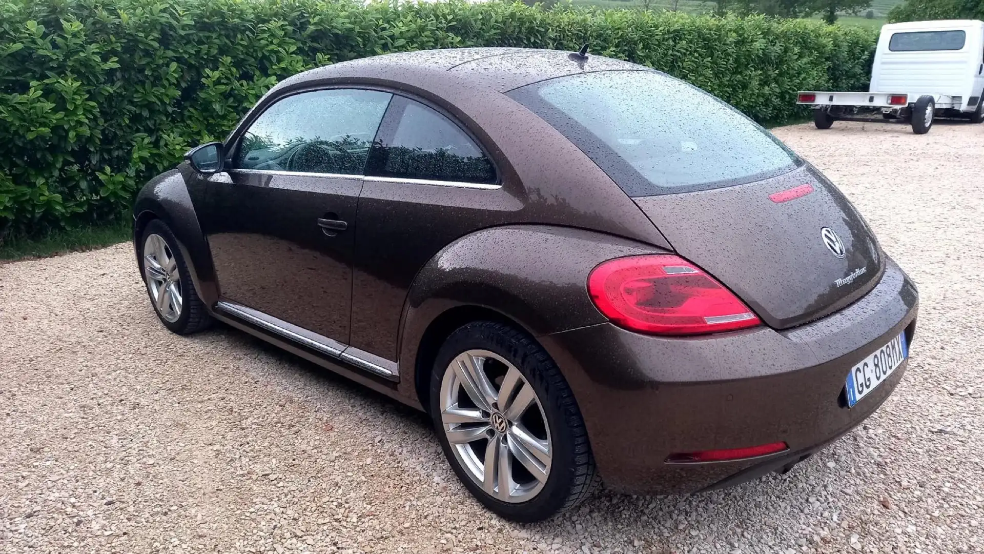 Volkswagen Maggiolino 1.6 tdi Design 105cv Marrone - 2