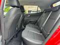 Kia Stonic 1.6 CRDi Sense ISG Rood - thumbnail 23