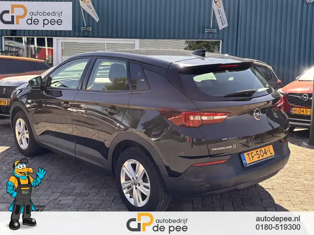 Opel Grandland X view 20
