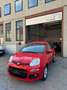 Fiat Panda Panda III 2016 1.2 Lounge easypower Gpl 69cv Rosso - thumbnail 3