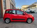 Fiat Panda Panda III 2016 1.2 Lounge easypower Gpl 69cv Rosso - thumbnail 4