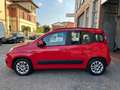 Fiat Panda Panda III 2016 1.2 Lounge easypower Gpl 69cv Rosso - thumbnail 5