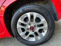 Fiat Panda Panda III 2016 1.2 Lounge easypower Gpl 69cv Rojo - thumbnail 19