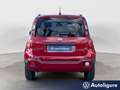 Fiat Panda Panda 1.0 FireFly S&S Hybrid City Cross Rosso - thumbnail 4