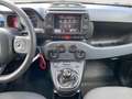 Fiat Panda Panda 1.0 FireFly S&S Hybrid City Cross Rosso - thumbnail 12
