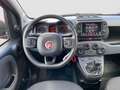 Fiat Panda Panda 1.0 FireFly S&S Hybrid City Cross Rosso - thumbnail 10