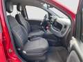 Fiat Panda Panda 1.0 FireFly S&S Hybrid City Cross Rosso - thumbnail 15