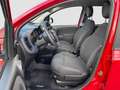 Fiat Panda Panda 1.0 FireFly S&S Hybrid City Cross Rosso - thumbnail 13