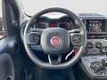 Fiat Panda Panda 1.0 FireFly S&S Hybrid City Cross Rosso - thumbnail 11