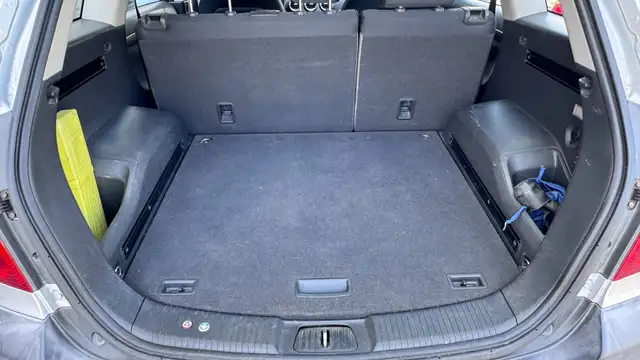 Opel Antara view 15