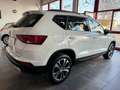 SEAT Ateca 1.6 tdi Ecomotive Style 116CV TETTO APRIBILE Bianco - thumbnail 6