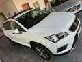 SEAT Ateca 1.6 tdi Ecomotive Style 116CV TETTO APRIBILE Bianco - thumbnail 14