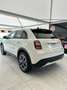 Fiat 600 600 Hybrid 100 CV DCT MHEV La Prima Blanc - thumbnail 5