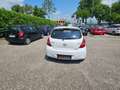 Hyundai i20 1.4 CRDi 5p. Comfort Neopatentati Weiß - thumbnail 5